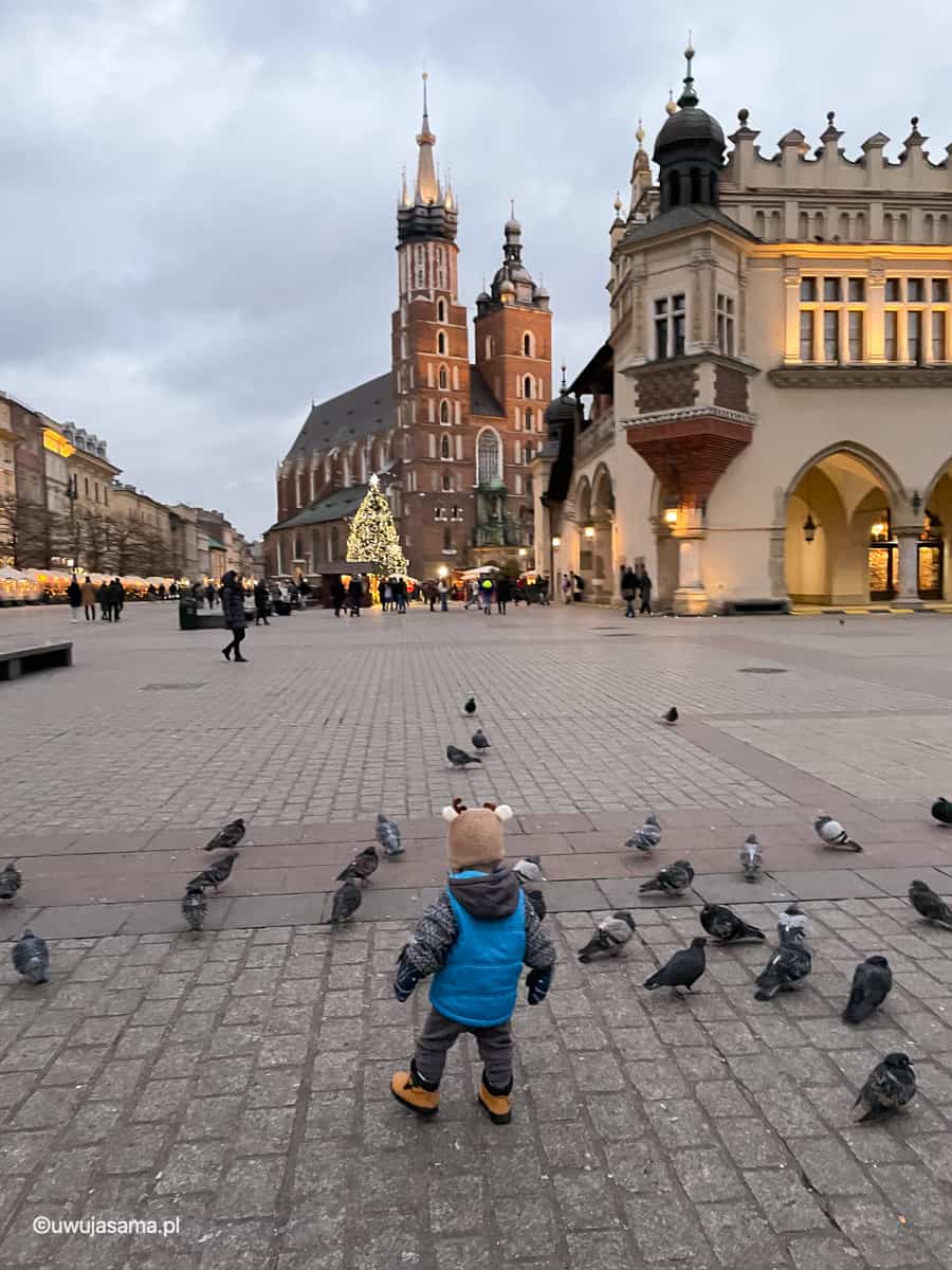 Polska Kraków Rynek